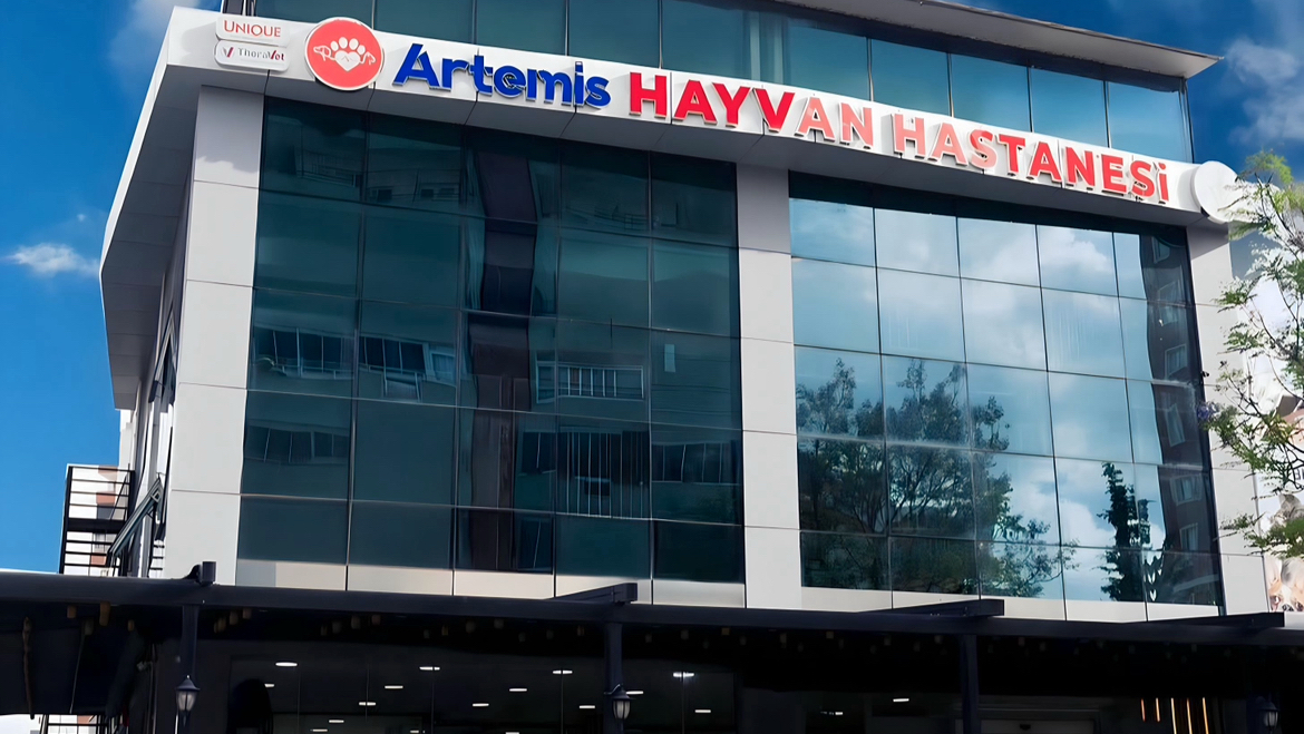 Artemis Hayvan Hastanesi